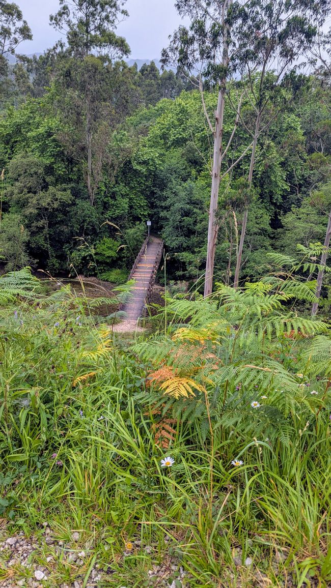 12. Etappe Camino del Norte von Pendueles nach Barro