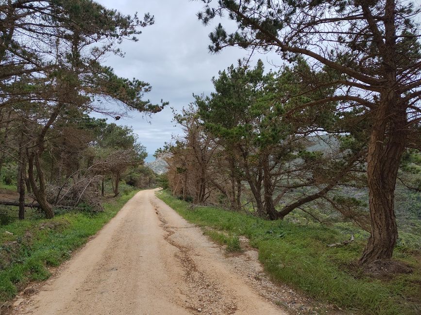 Vila do Bispo -> Carrapateira