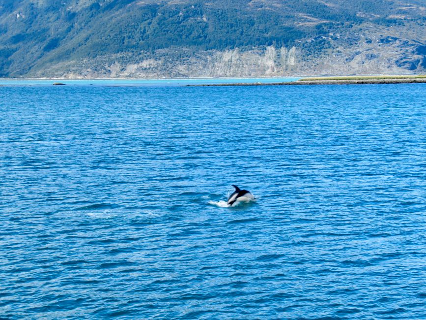 Ab jetzt 4 Tage weiter mit dem Schiff 