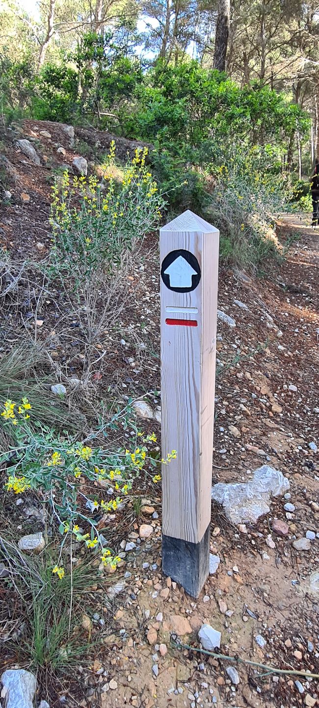 L'ingresso di Port Andratx a Ses Fontanelles