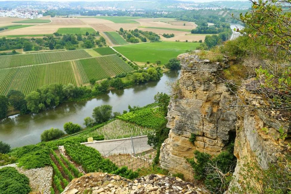 * * * S W A B I A N   
D O L O M I T E S * * *
Climbing, Hiking, Marveling: The Hessigheim Rock Gardens