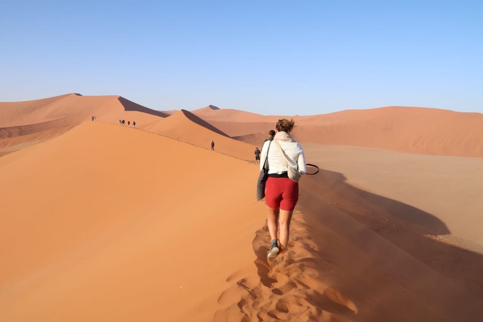 Desierto de Namibia 🏜️