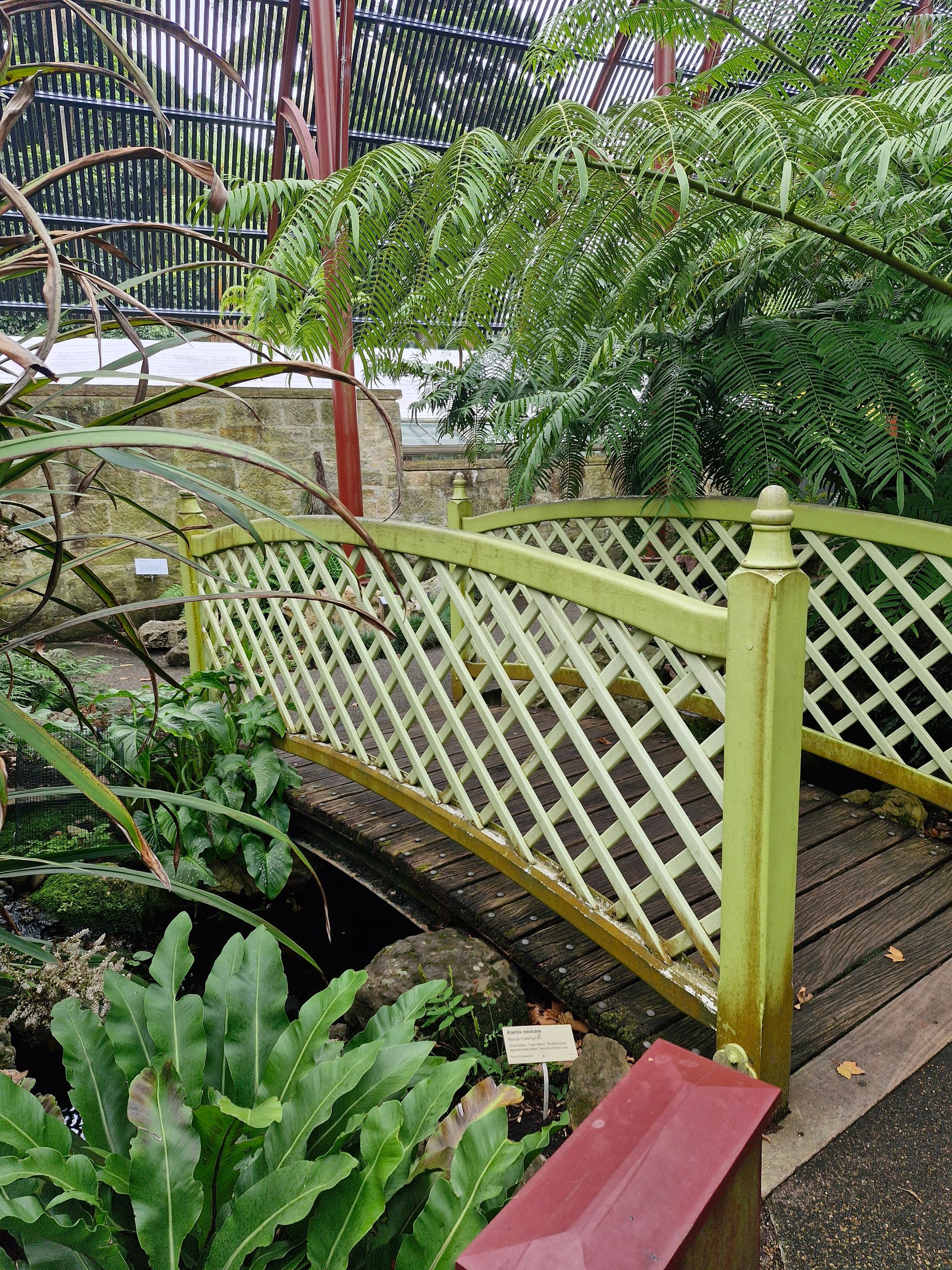Bridge in the woods