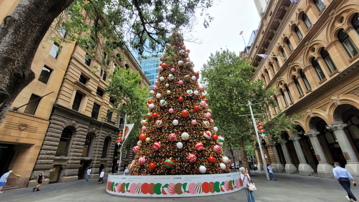 Merry Christmas (ob man will oder nicht) und mehr in Sydney