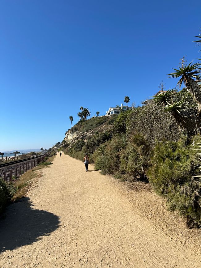 Centro de LA/ San Clemente/San Diego/Paracaidismo ❤️