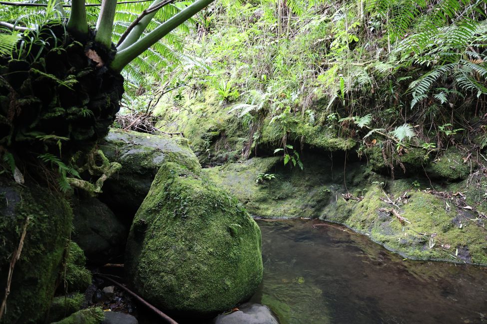 Rarotonga - Caminata cruzada por la isla
