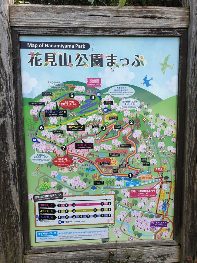 花见山公园