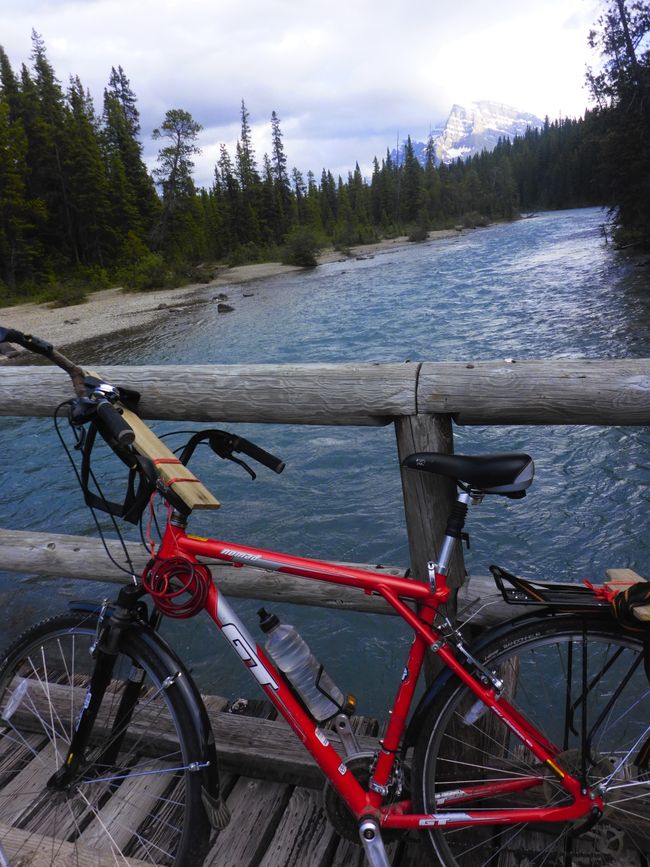 Pont au-dessus de la rivière Mistaya