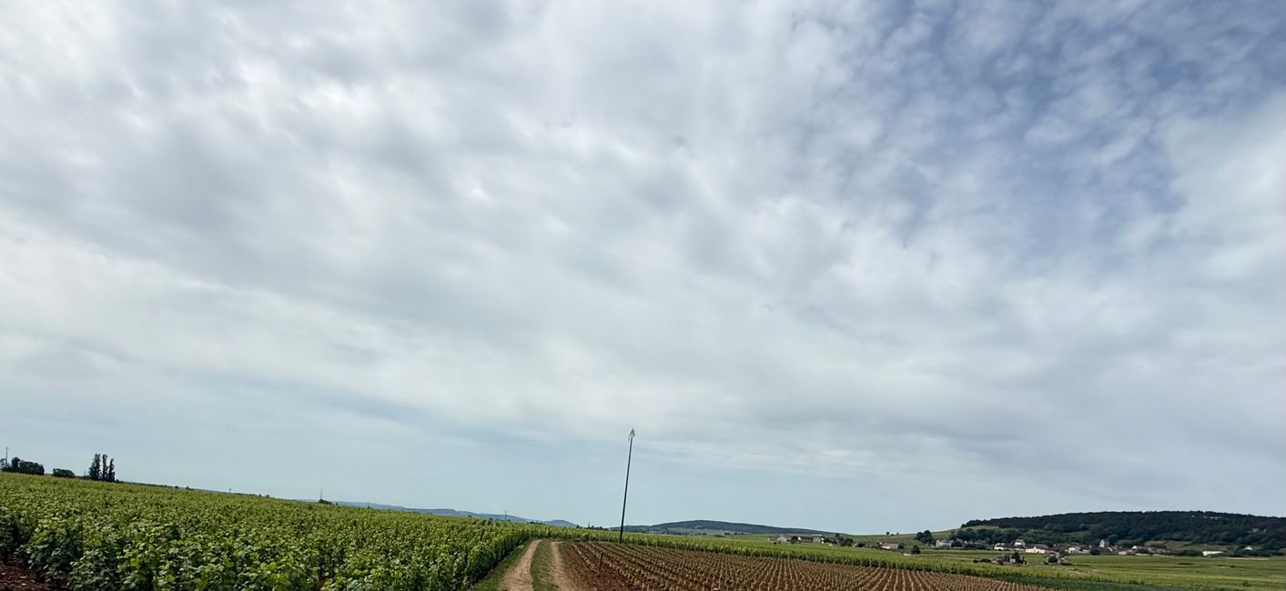 Weinlagen um Pommard