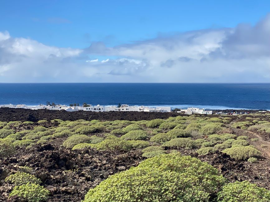 Malpais = tierra mala - que se formó por lava que se enfrió lentamente y se agrietó