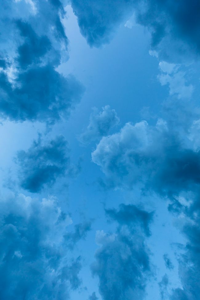 (Matthew McBrayer, Unsplash)