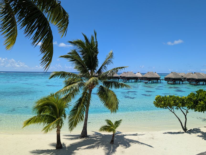49 Days 22.2.25 Moorea