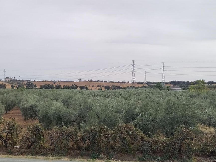 Sevilla zum Ersten