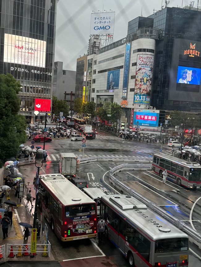 Shibuya scramble crossing empty