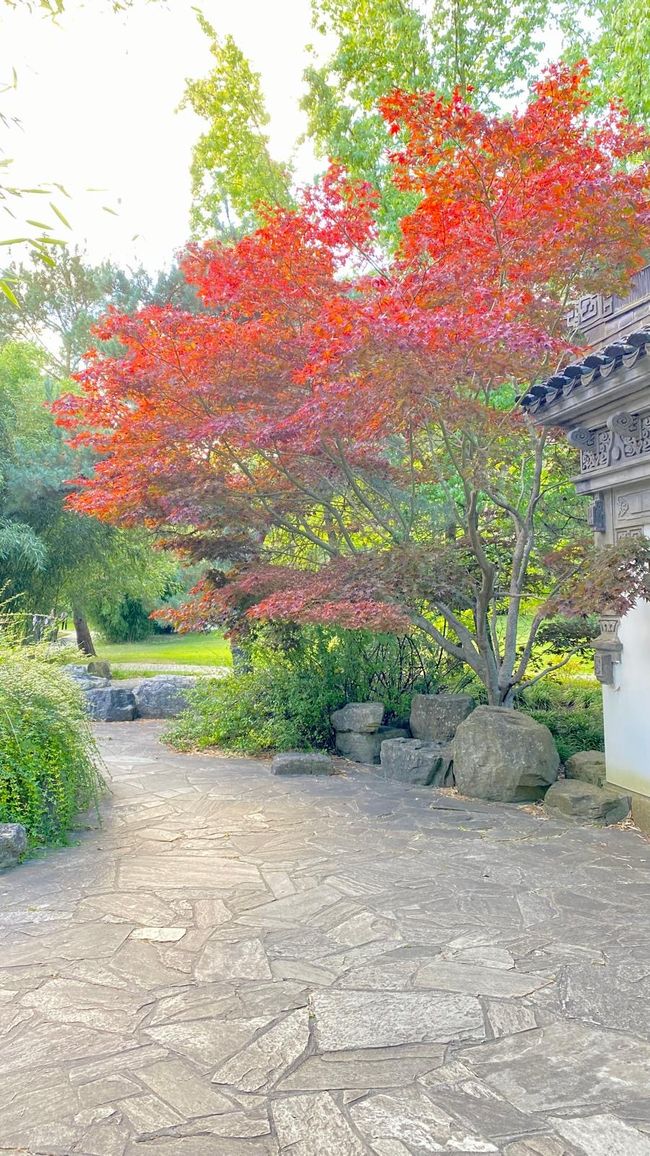 After the Spreewald came the high of excitement