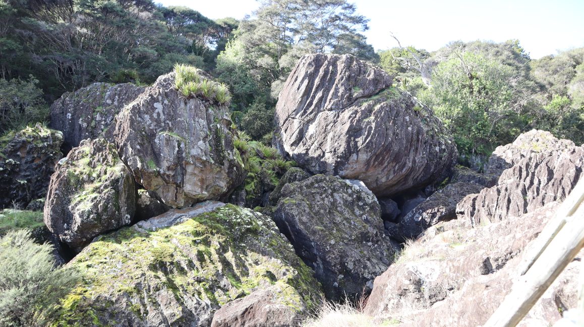 Wairere Boulders Nature Reserve