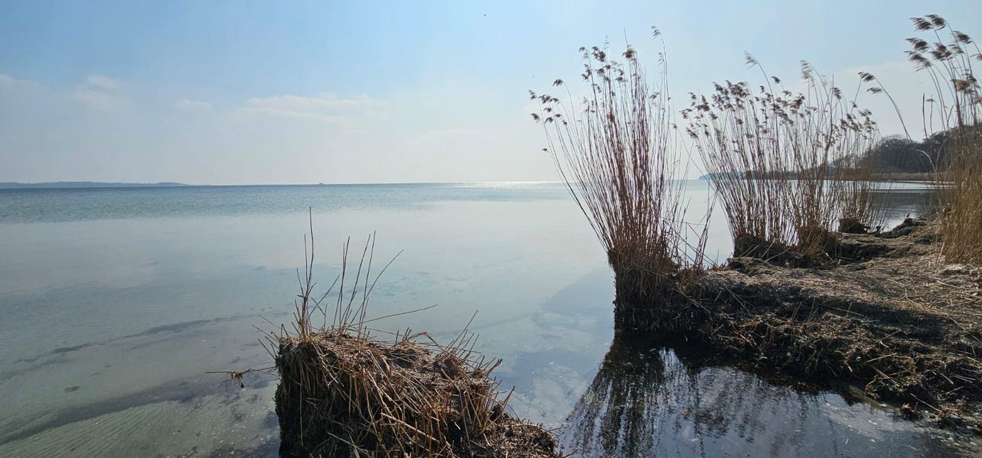 Wieder mal auf Rügen - Beruf und Urlaub in einer harmonischen Symbiose