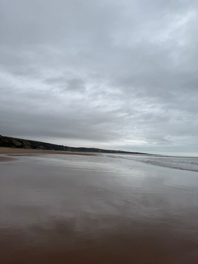 Tage in Montrose..