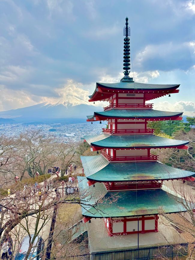 Parte 7
BENVENUTO IN GIAPPONE 🇯🇵
TOKYO