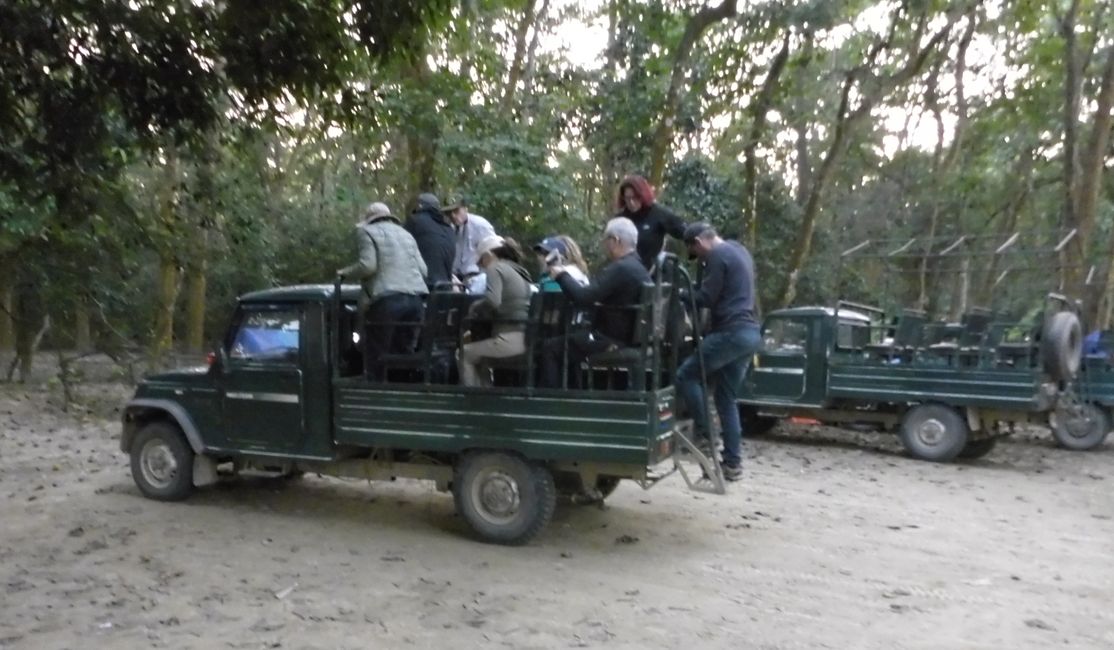 Auch die Jeeps kommen jetzt zurück 