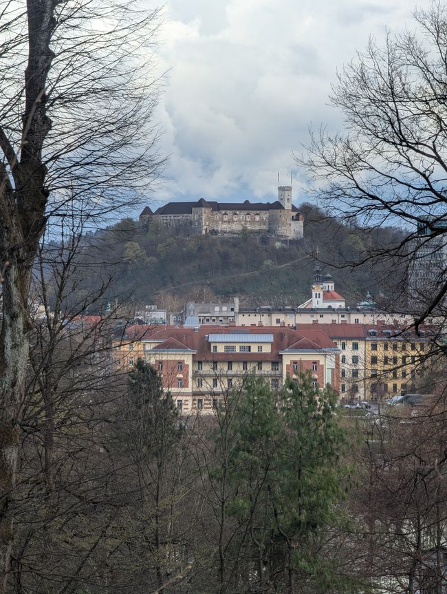Lubiana
