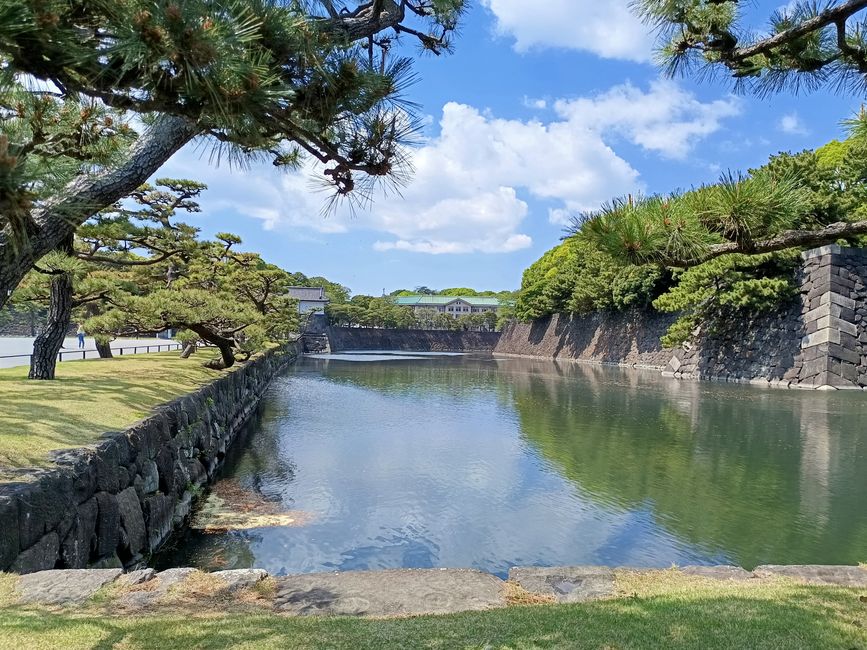 Tokyo auf eigene Faust