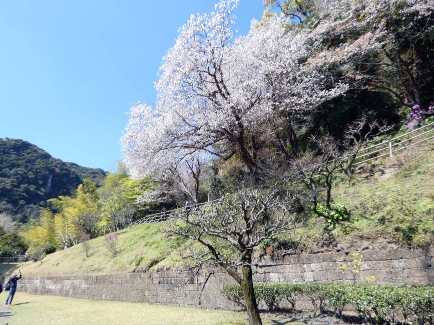 Senganen Garden (仙巌園)