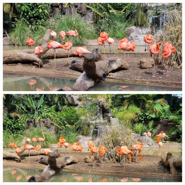 Tag drei: Zoo Aurora und Stadtteil Cayala
