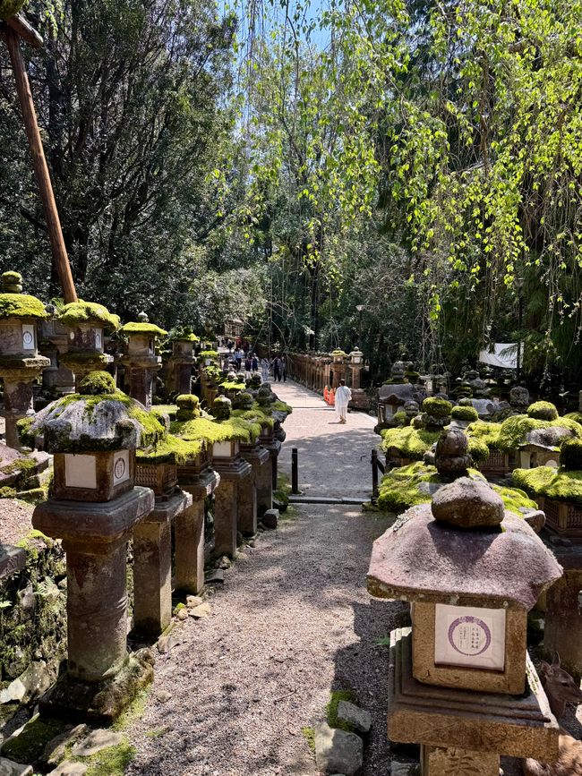 Part 8 Japan 🇯🇵 Kanazawa