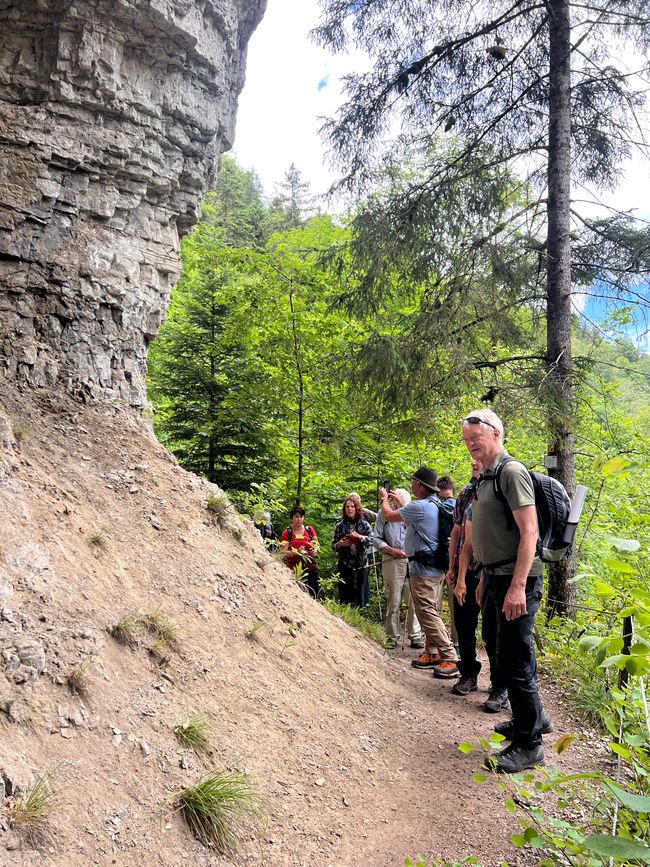 28 Wutachschlucht Pro Wolermoos