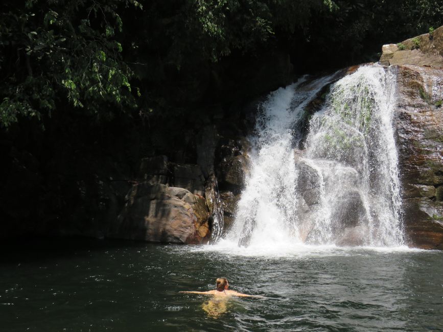 Sinharaja - l'ultima foresta pluviale dello Sri Lanka