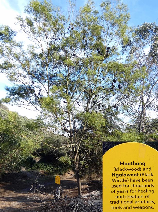 Tower Hill Wildlife Reserve