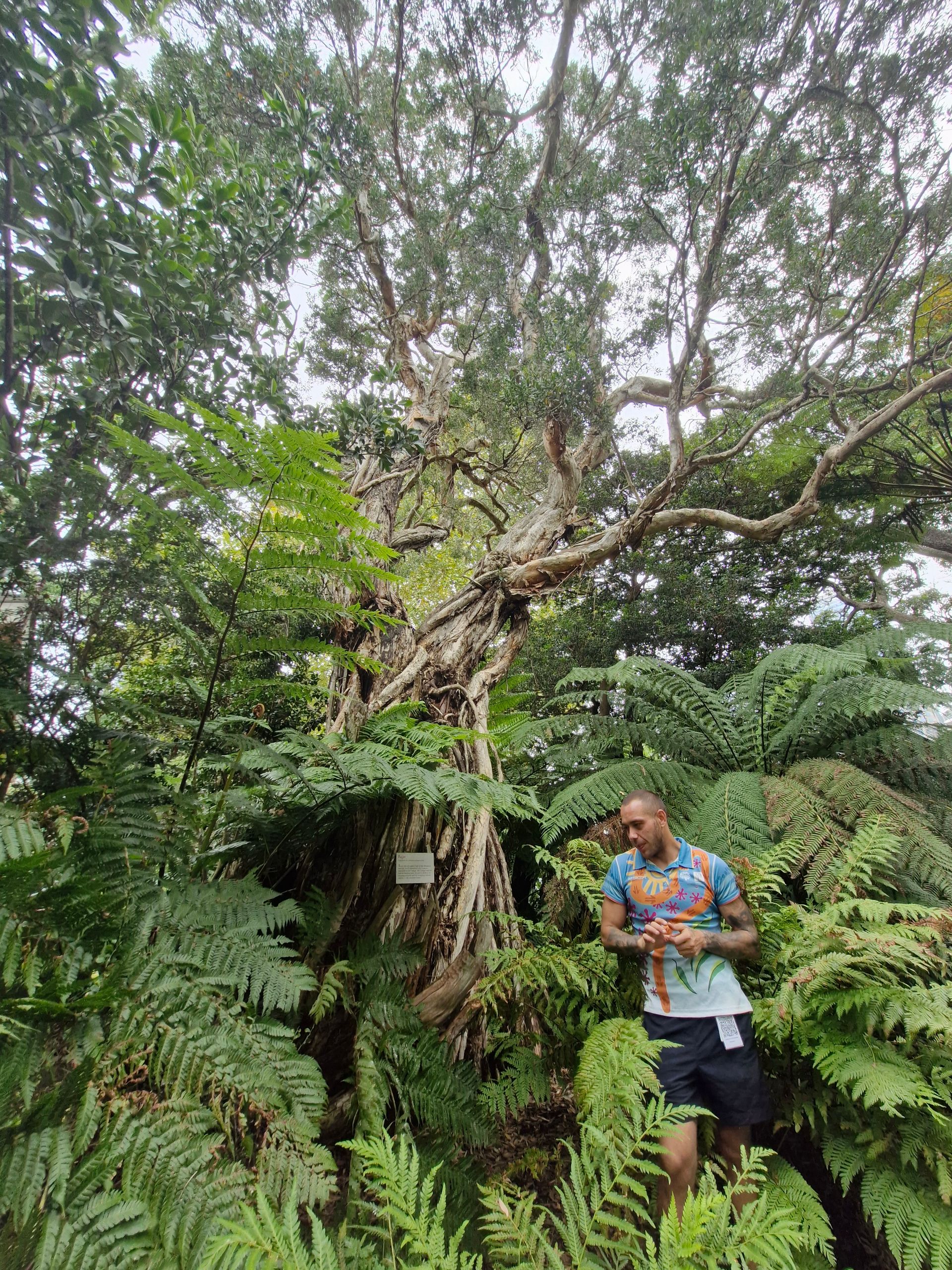 Tour guide in the bush