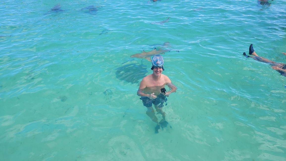 Esnórquel con raya y tiburones en el agua turquesa frente a Bora Bora.