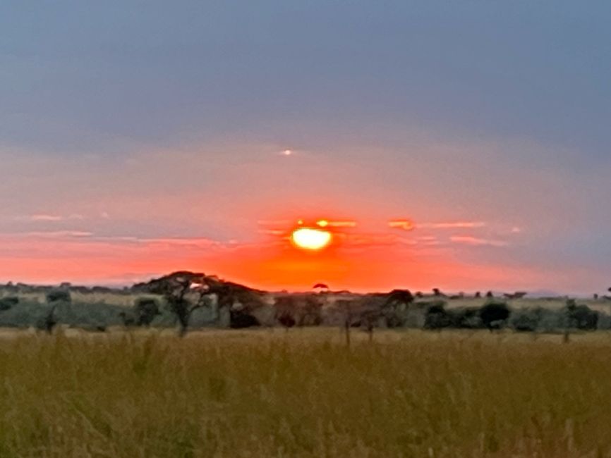 En la Serengeti - Día 3