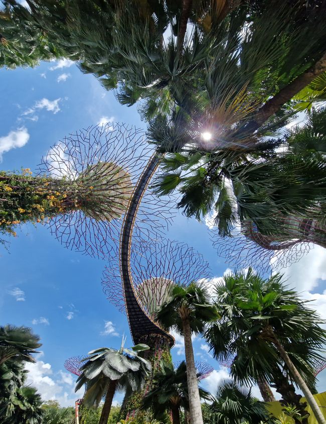 Gardens by the bay