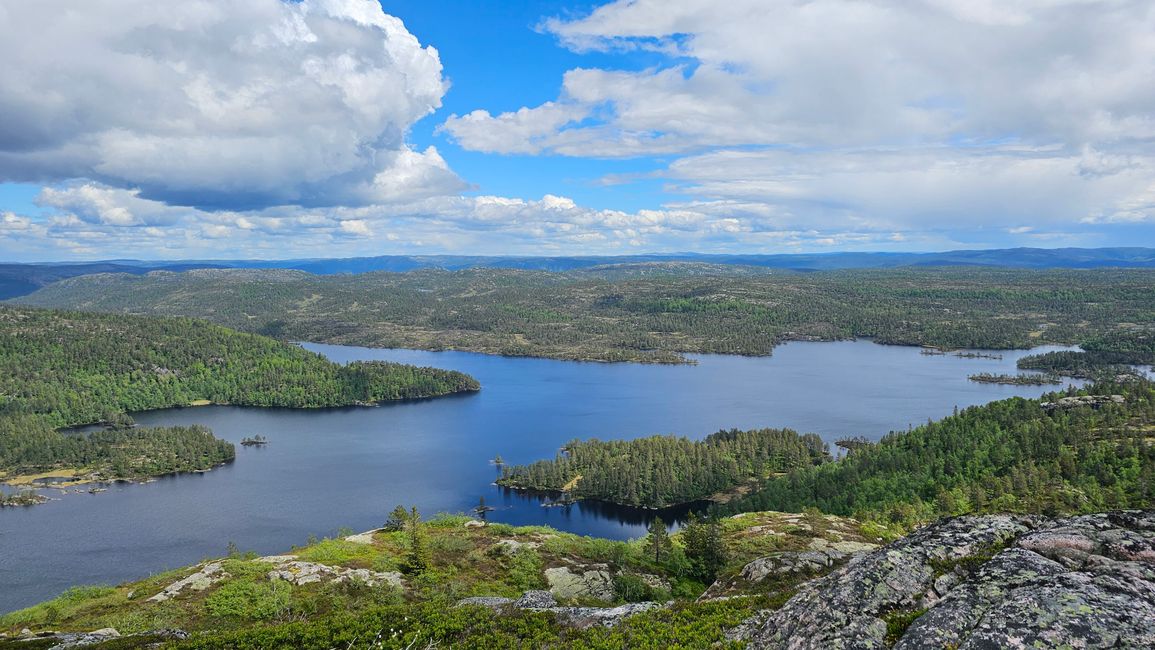Evje og Hornes- Midtstrandnuten 790 moh
