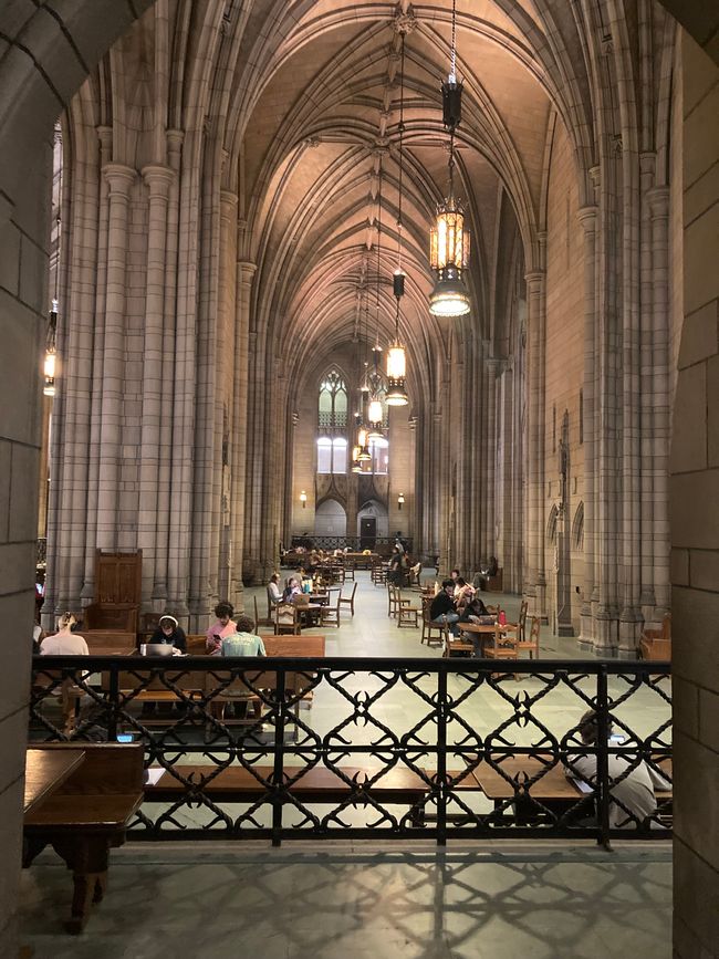 Leslie's Host: University of Pittsburgh (Pitt)