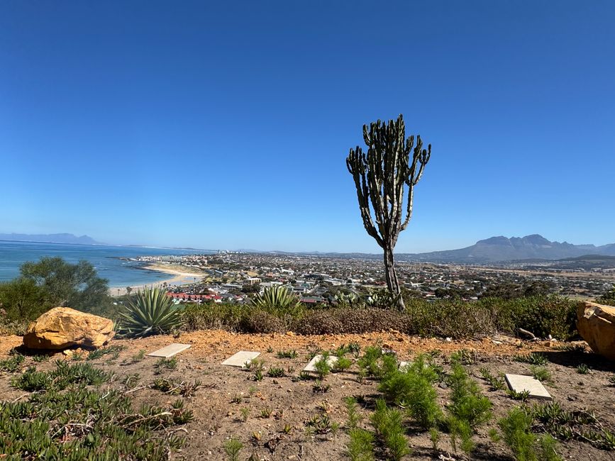 南非🇿🇦第二周