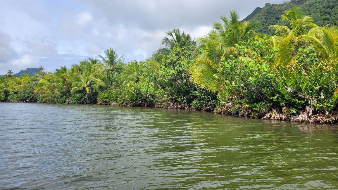 Raiatea – Along the Fa’aroa River