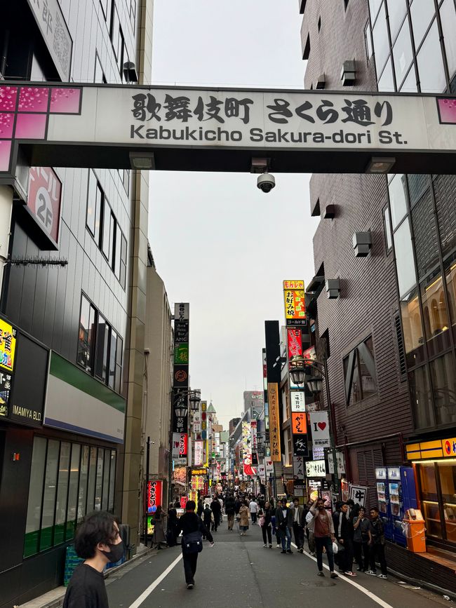 Parte 7
BENVENUTO IN GIAPPONE 🇯🇵
TOKYO