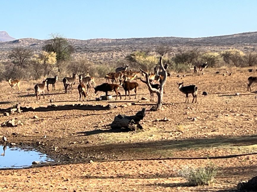 Richtung Windhoek