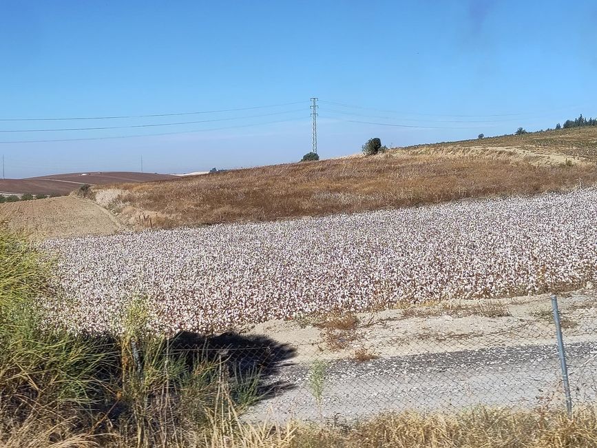 Sanlúcar de Barrameda