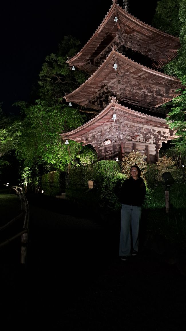 Beautiful Tokyo