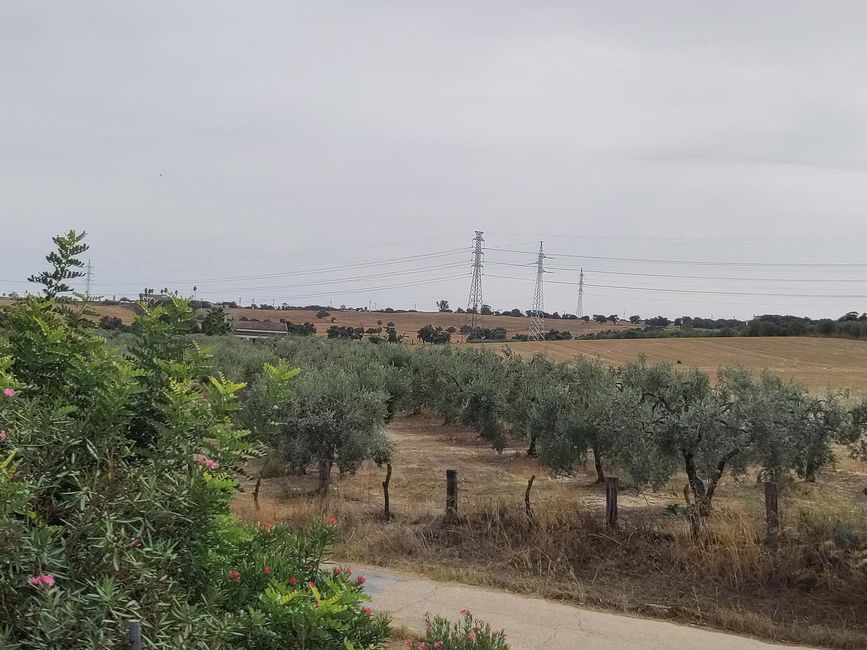 Sevilla zum Ersten