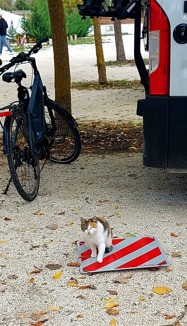 1. Etappe des 
    Rückwegs: Wir 
    fahren bis Ravenna