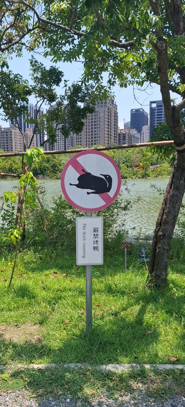 In a public park in Koahshing