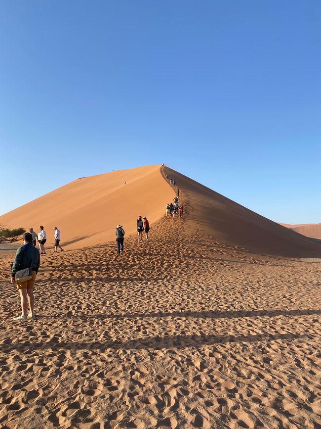 Desierto de Namibia 🏜️