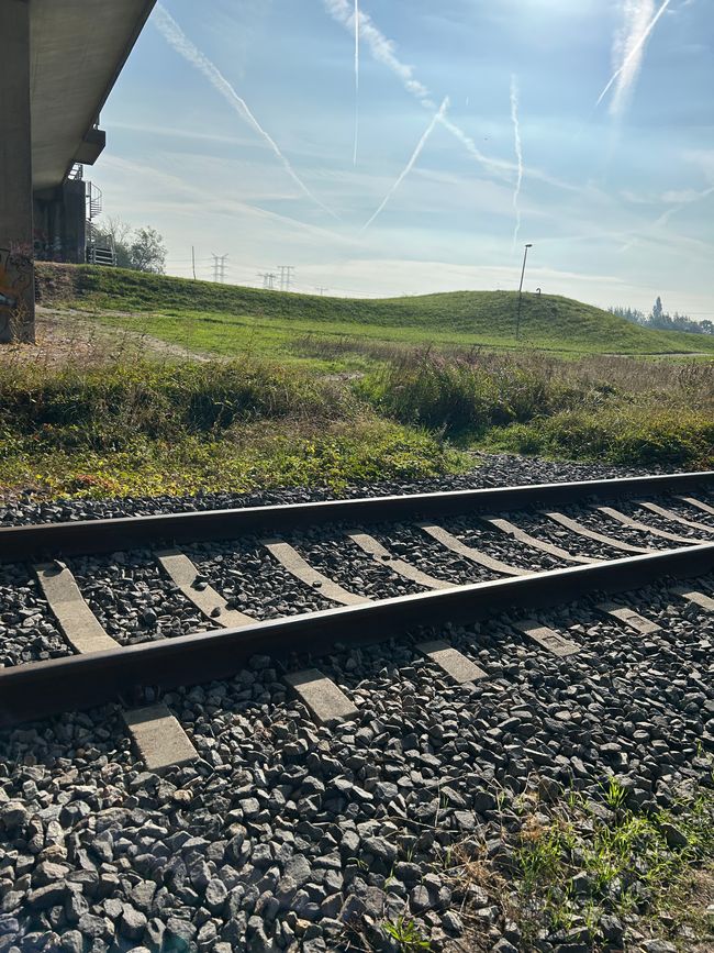 Unorthodoxer Weg