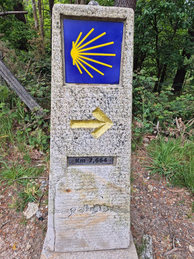 Zieletappe